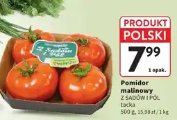 Intermarche Pomidor malinowy Z Sadów i Pól tacka polski oferta