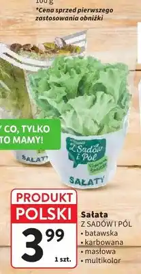 Intermarche Sałata Z Sadów i Pól batawska oferta
