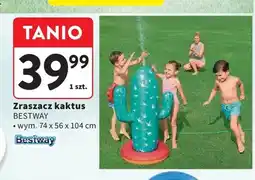 Intermarche Zraszacz kaktus BESTWAY wym. 74x56x104cm oferta