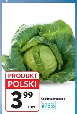 Intermarche Kapusta wczesna polska oferta