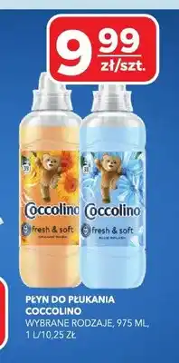 Top Market Płyn do płukania COCCOLINO oferta