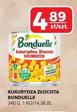 Top Market Kukurydza złocista Bonduelle oferta