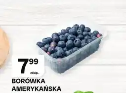 Chorten Borówka amerykańska oferta