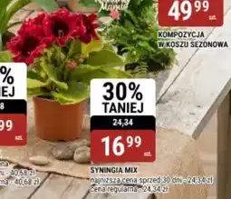 bi1 Syningia mix oferta