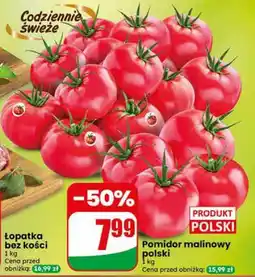 Dino Pomidor malinowy polski oferta