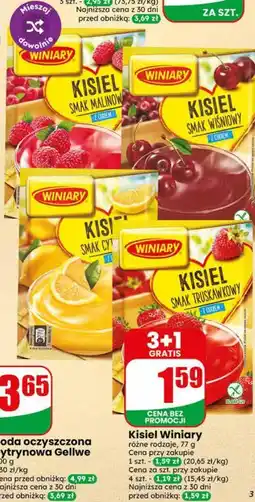 Dino Kisiel Winiary różne rodzaje oferta