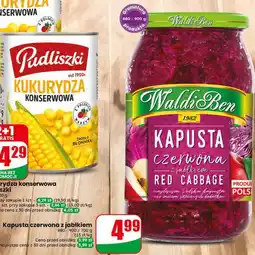 Dino Kapusta czerwona z jabłkiem Waldi Ben oferta