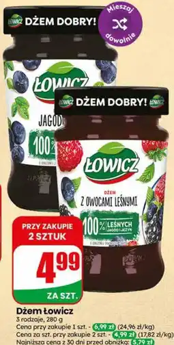 Dino Dżem Łowicz oferta