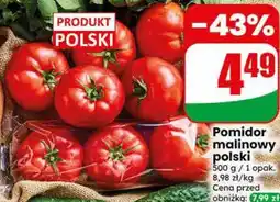 Dino Pomidor malinowy polski oferta