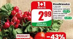 Dino Rzodkiewka 1 pęczek oferta