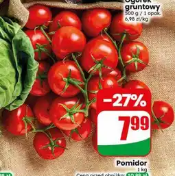 Dino Pomidor oferta