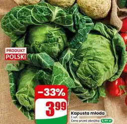 Dino Kapusta młoda oferta