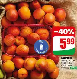 Dino Morela oferta