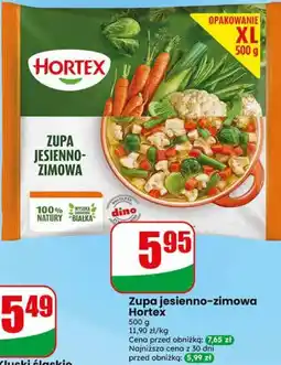 Dino Zupa jesienno-zimowa Hortex oferta