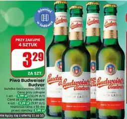 Dino Piwo Budweiser Budvar oferta