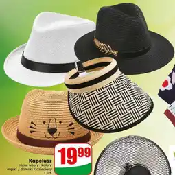 Dino Kapelusz oferta