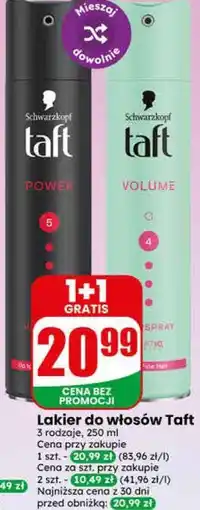 Dino Lakier do włosów Taft oferta