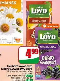 Dino Herbata owocowa Dobry&Owocowy Loyd 2 rodzaje, 20 torebek x 2,5 g oferta