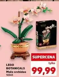 Kaufland LEGO BOTANICALS Mała orchidea 10343 oferta