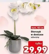 Kaufland Storczyk w doniczce sztuczny oferta