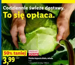 Lidl Kapusta biała młoda polska oferta
