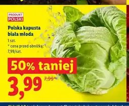 Lidl Polska kapusta biała młoda oferta