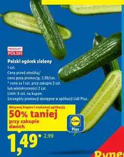 Lidl Polski ogórek zielony oferta