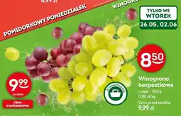 Żabka Winogrono bezpestkowe oferta