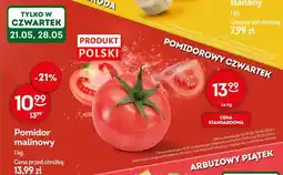 Żabka Pomidor malinowy polski oferta