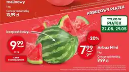 Żabka Arbuz Mini bezpestkowy oferta