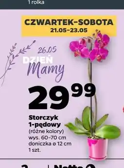 Netto Storczyk 1-pędowy oferta