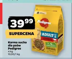 Netto Karma sucha dla psów Pedigree oferta