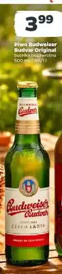 Netto Piwo Budweiser Budvar Original butelka bezzwrotna oferta