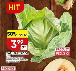 Chata Polska Kapusta młoda polska oferta