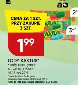 Chata Polska Lody Kaktus Froneri oferta