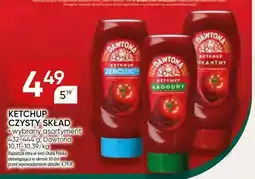 Chata Polska Ketchup czysty skład Dawtona oferta