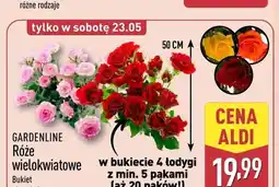 ALDI Róże wielokwiatowe GARDENLINE oferta