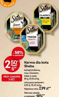 Żabka Karma dla kota Sheba koktajl drobiowy oferta