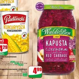 Dino Kapusta czerwona z jabłkiem oferta