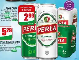 Dino Perła Export oferta