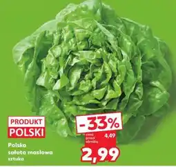 Kaufland Polska sałata masłowa sztuka oferta