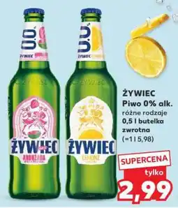 Kaufland ŻYWIEC Piwo 0% alk oferta