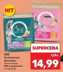 Kaufland ONE Sucha karma dla kotów oferta