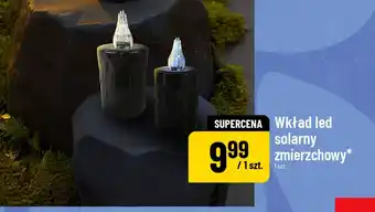 Wkład led solarny