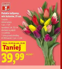 Lidl Polskie tulipany, mix kolorów, 21 szt oferta