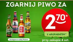 Żabka PIWO W DOBREJ CENIE oferta
