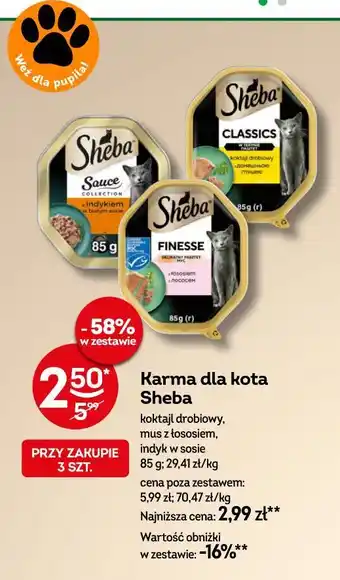 Żabka Karma dla kota Sheba oferta