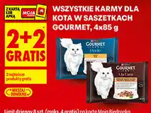 Biedronka Wszystkie karmy dla kota w saszetkach Gourmet oferta