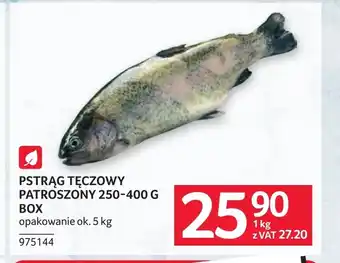 Selgros Pstrąg tęczowy patroszony 250-400 g box oferta