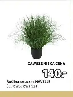 JYSK Roślina sztuczna HAVELLE Ś85xW65cm oferta
